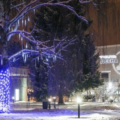 *"Десна" оздоровительный комплекс